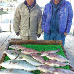 海の釣堀 海恵 釣果