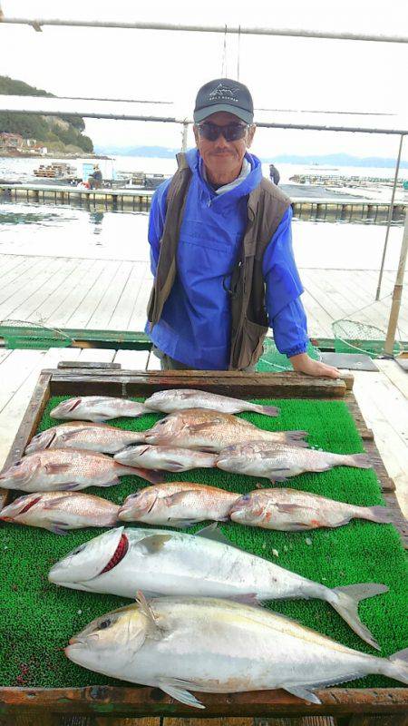 海の釣堀 海恵 釣果