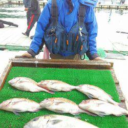 海の釣堀 海恵 釣果