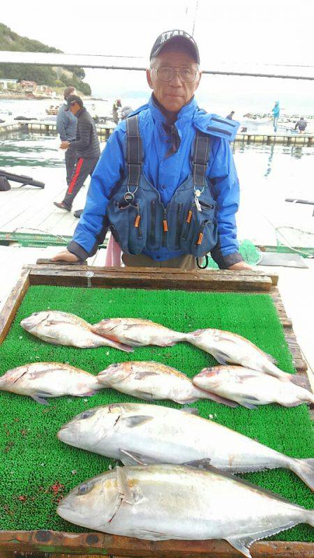 海の釣堀 海恵 釣果