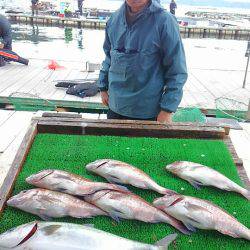 海の釣堀 海恵 釣果