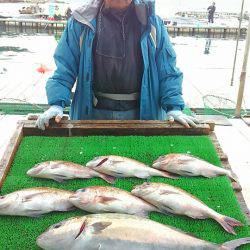 海の釣堀 海恵 釣果