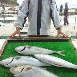 海の釣堀 海恵 釣果