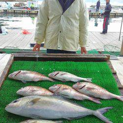 海の釣堀 海恵 釣果