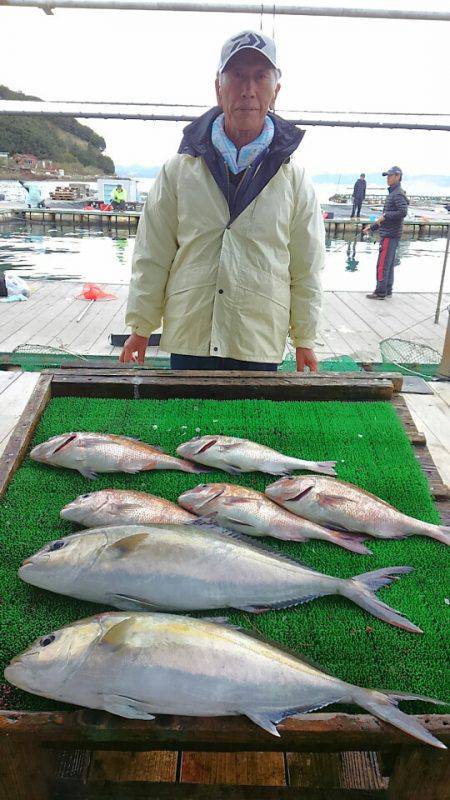 海の釣堀 海恵 釣果