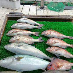 海の釣堀 海恵 釣果