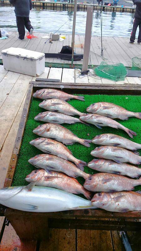 海の釣堀 海恵 釣果