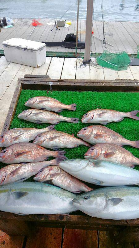 海の釣堀 海恵 釣果