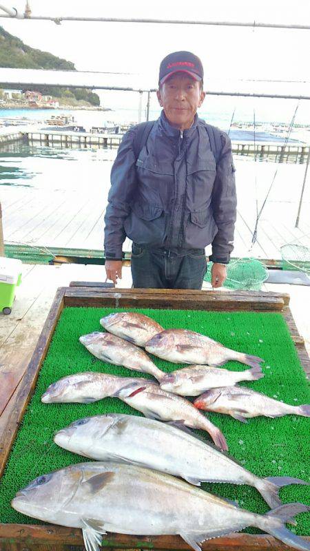 海の釣堀 海恵 釣果