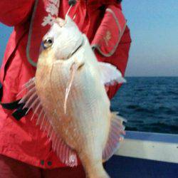 新幸丸 釣果