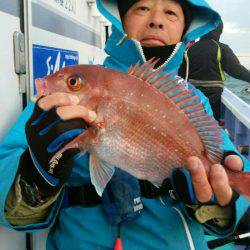 新幸丸 釣果