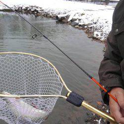 つりぼりあかし 釣果