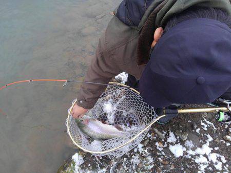 つりぼりあかし 釣果