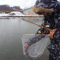 つりぼりあかし 釣果