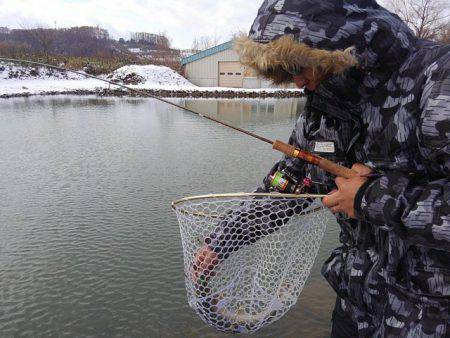 つりぼりあかし 釣果