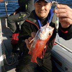 ありもと丸 釣果