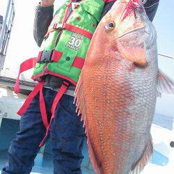 シースナイパー海龍 釣果