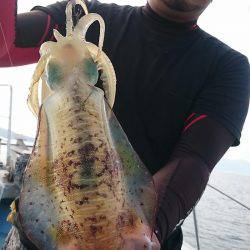 シースナイパー海龍 釣果