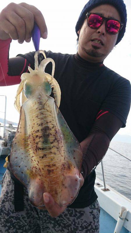 シースナイパー海龍 釣果