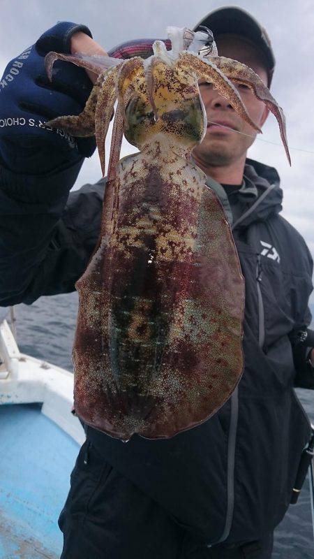 シースナイパー海龍 釣果