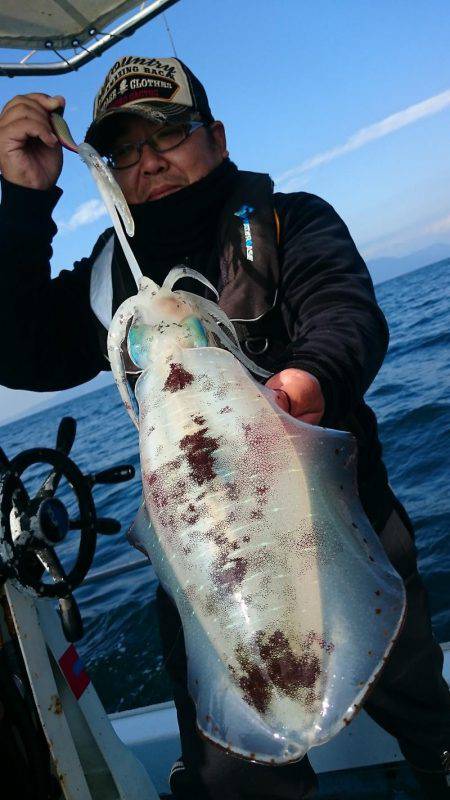 シースナイパー海龍 釣果