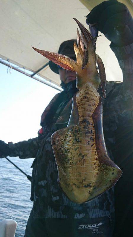 シースナイパー海龍 釣果