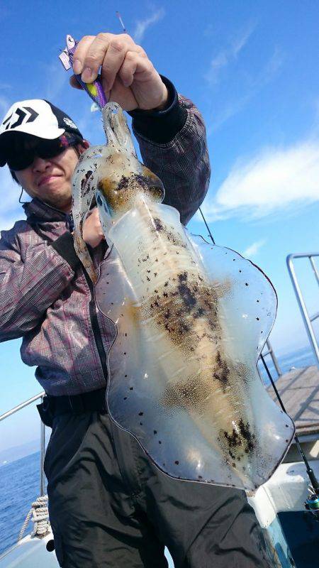 シースナイパー海龍 釣果