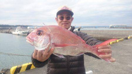 だて丸 釣果