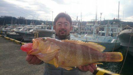 だて丸 釣果