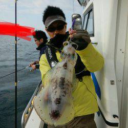 きずなまりん 釣果