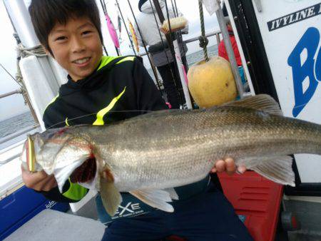 ありもと丸 釣果