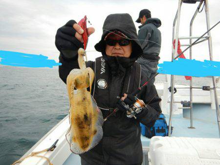 きずなまりん 釣果