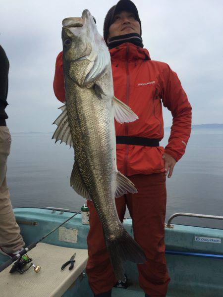 アマテラス 釣果