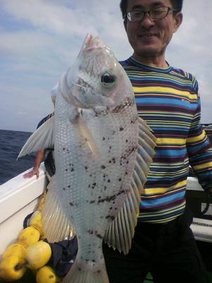 明日丸 釣果