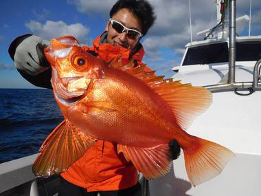 随功丸 釣果