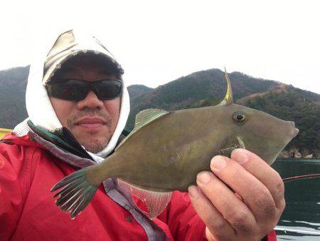 内浦湾でレンタルボートでハゲ釣り