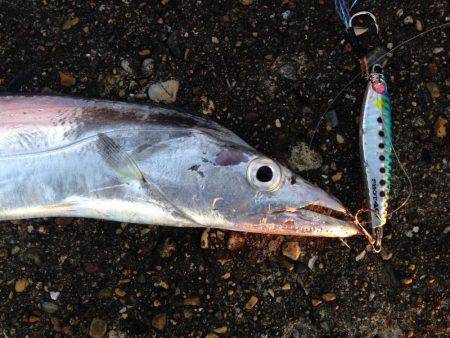 釣り納め刀狩り