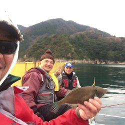 内浦湾でレンタルボートでハゲ釣り