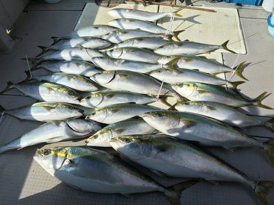 ミタチ丸 釣果