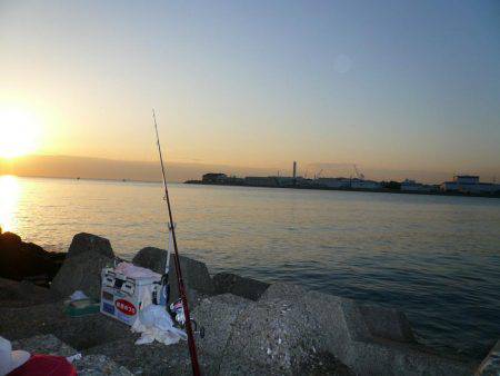 少し東二見人工島でキスを探って来ました