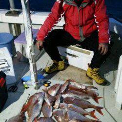 釣り船くわだ 釣果