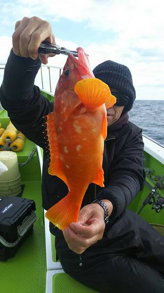 松栄丸 釣果