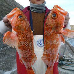 松栄丸 釣果