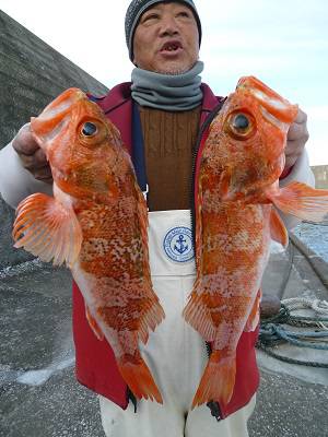 松栄丸 釣果