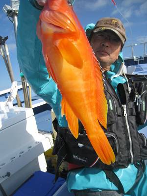 松栄丸 釣果