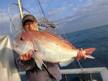 鯛紅丸 釣果