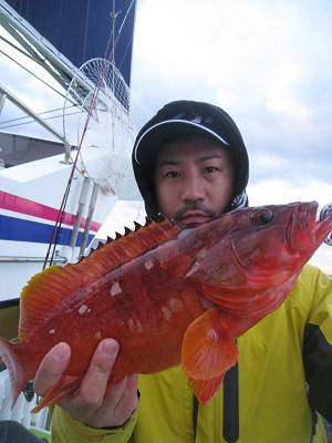 松栄丸 釣果