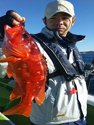 松栄丸 釣果