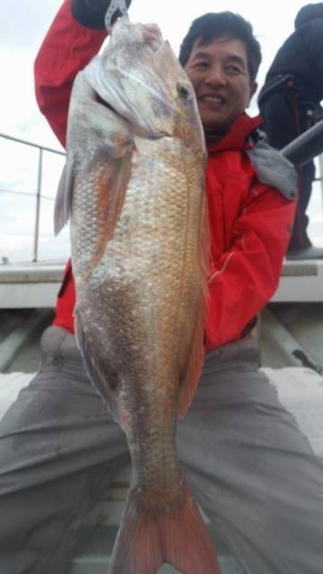 飛燕さくら丸 釣果