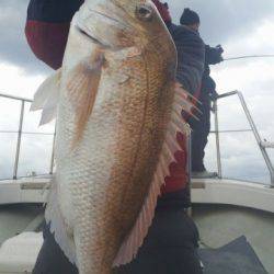 飛燕さくら丸 釣果